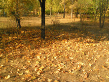 PICT0149148148.jpg
