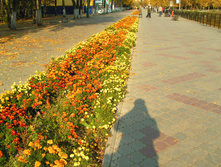 PICT0200199199.jpg