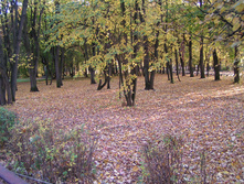 PICT0245234234.jpg