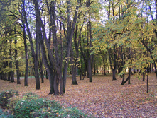 PICT0247236236.jpg