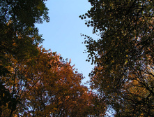 PICT0257246246.jpg
