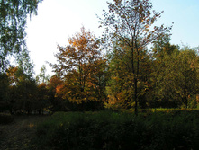 PICT0274262262.jpg