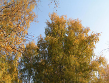 PICT0283271271.jpg