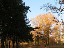 PICT0289277277.jpg