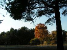 PICT0291279279.jpg