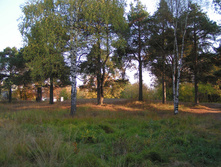 PICT0332316316.jpg
