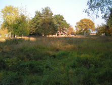 PICT0336320320.jpg