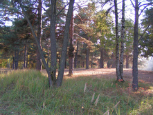 PICT0338322322.jpg