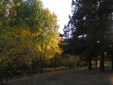 PICT0349333333.jpg