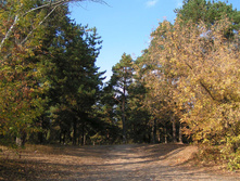 PICT000211.jpg