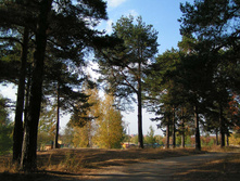 PICT000544.jpg