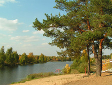 PICT00171616.jpg