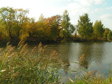 PICT00242323.jpg