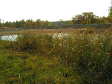 PICT00262525.jpg