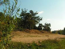 PICT00292828.jpg