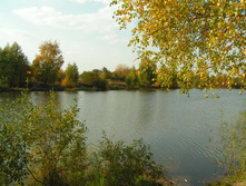 PICT00333232.jpg