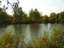 PICT00343333.jpg