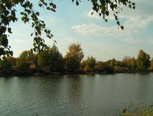 PICT00363535.jpg