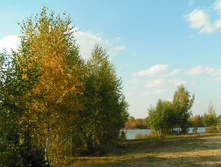 PICT00403939.jpg