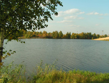 PICT00454444.jpg