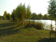 PICT00535252.jpg