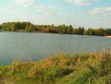 PICT00565555.jpg