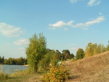 PICT00595858.jpg