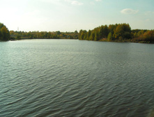 PICT00656464.jpg