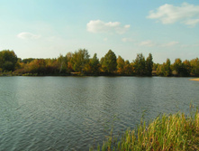 PICT00666565.jpg