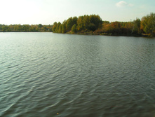PICT00686767.jpg