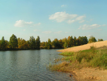 PICT00727171.jpg