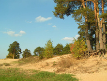 PICT00737272.jpg
