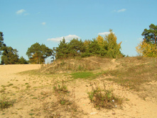 PICT00797878.jpg