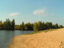 PICT00858484.jpg