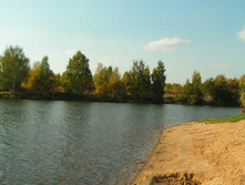 PICT00868585.jpg