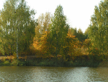 PICT00919090.jpg