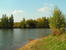 PICT00929191.jpg