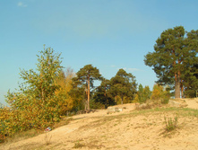 PICT00939292.jpg