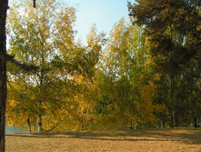 PICT0121120120.jpg