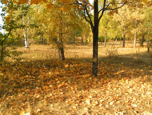 PICT0148147147.jpg
