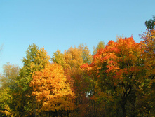 PICT0177176176.jpg
