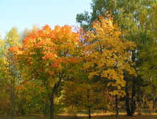 PICT0179178178.jpg