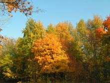PICT0180179179.jpg