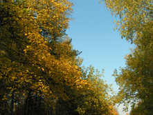 PICT0197196196.jpg
