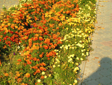PICT0201200200.jpg