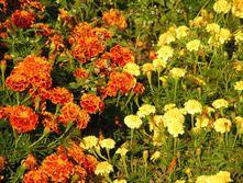 PICT0202201201.jpg