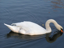 PICT0219213213.jpg