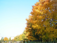 PICT0239233233.jpg
