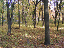 PICT0266255255.jpg