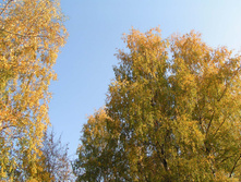 PICT0284272272.jpg